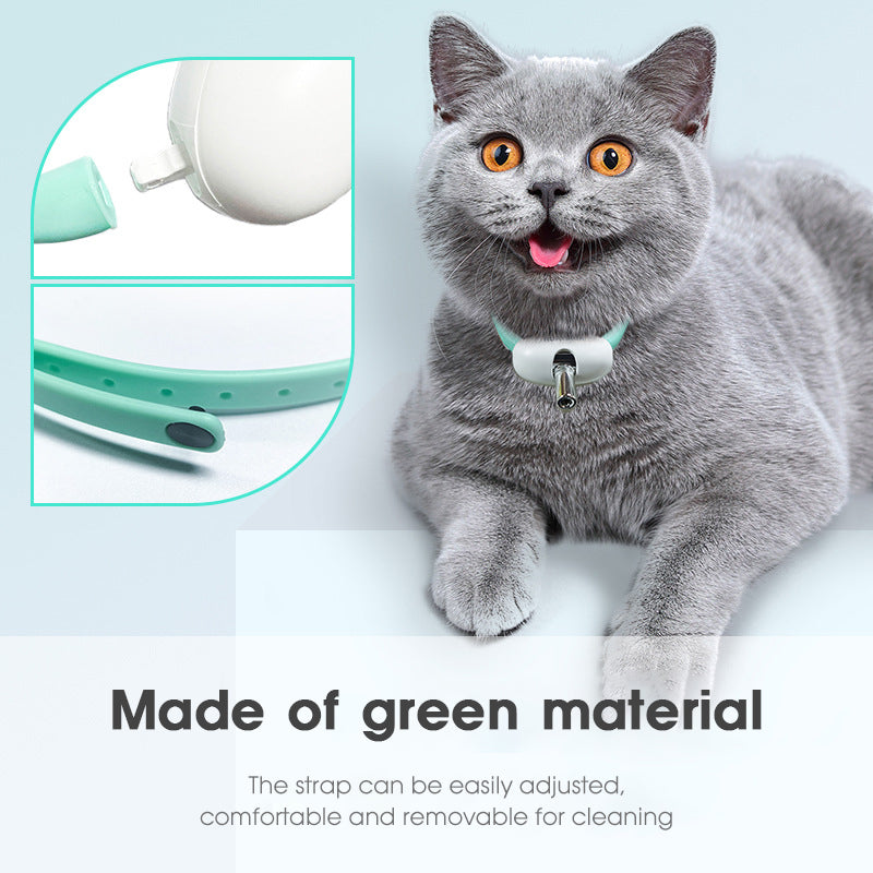 Gato feliz y consentido con los productos de Patitas Felices
